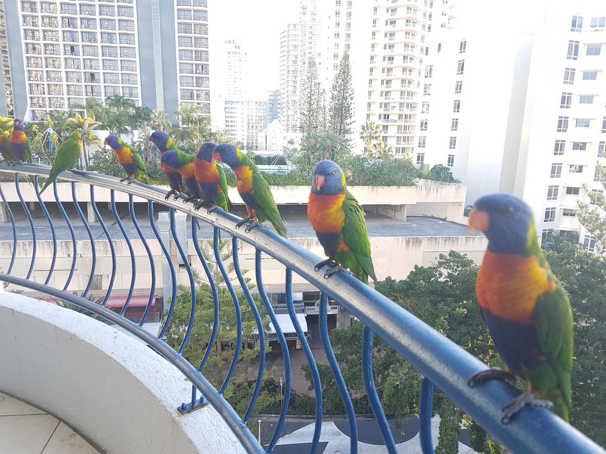 Monte Carlo Daire Surfers Paradise Dış mekan fotoğraf